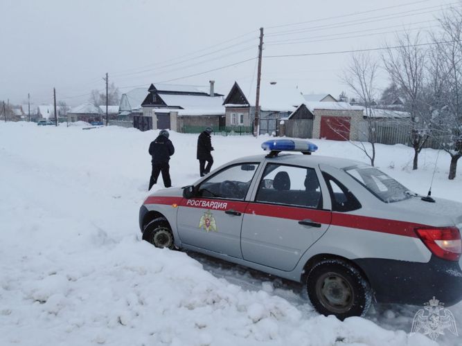 В Саратовской области сотрудники Росгвардии предотвратили кражу с охраняемого объекта