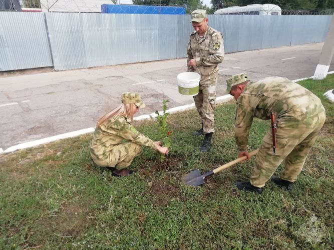 В Саратовской области  военнослужащие Росгвардии приняли участие во Всероссийской экологической акции «Зеленая Россия»