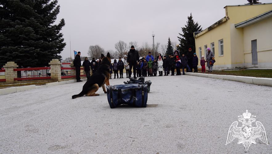 В Саратове сотрудники ОМОН и воспитанники спортивного клуба «Русичи» почтили память бойцов, погибших в годы локальных конфликтов