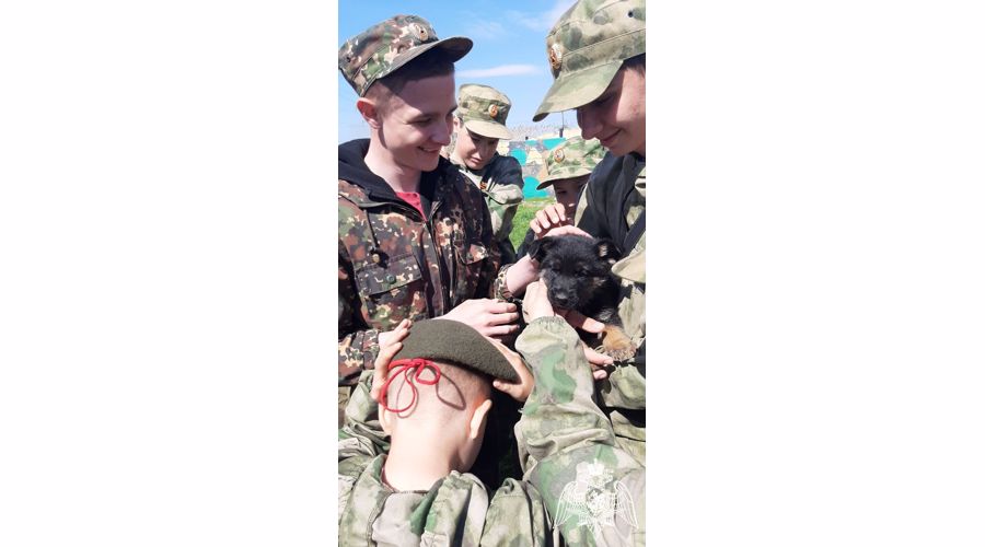 В Саратове участники «Гвардейской смены» побывали в гостях у кинологов Приволжского округа Росгвардии