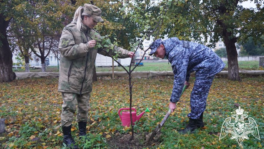 В Саратове росгвардейцы продолжают принимать участие в ведомственной акции «Древо Сталинграда» 