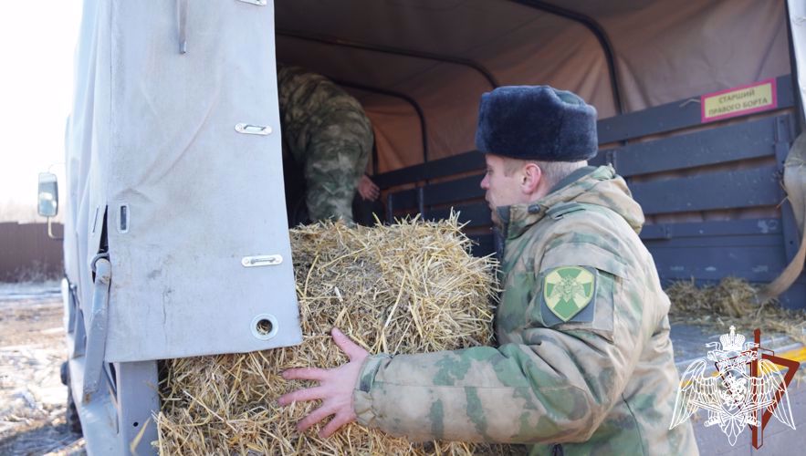 Акция "Добрые дела с Росгвардией" продолжается в Саратове