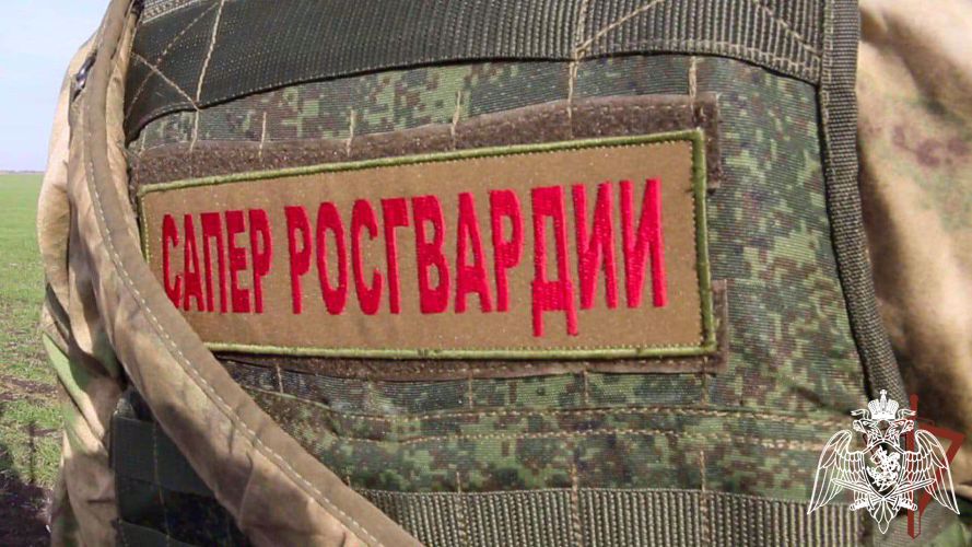 Росгвардейцы за неделю уничтожили более 200 взрывоопасных предметов, склады и боевую технику противника в Херсонской и Запорожской областях