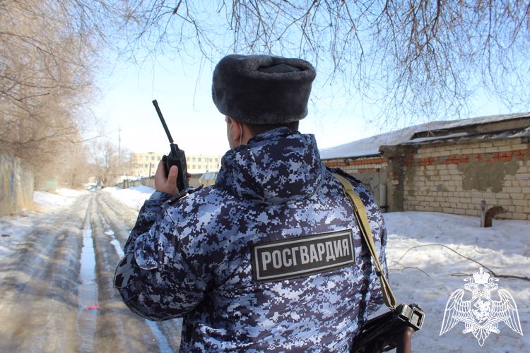 В Саратове сотрудники Росгвардии задержали гражданина, находившегося в федеральном розыске
