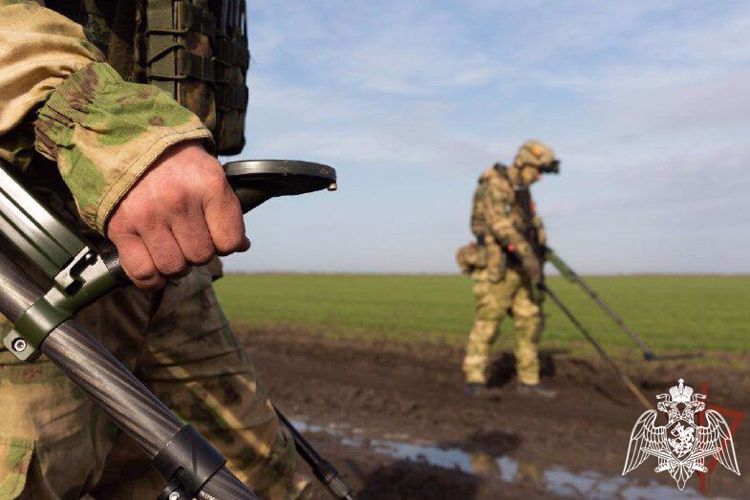 Росгвардия показала работу саперов в районе специальной военной операции (ВИДЕО)