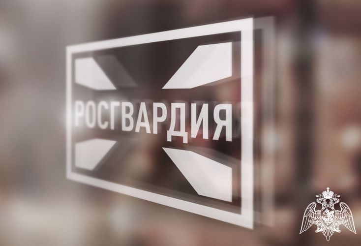 Свыше 200 печатных изданий экстремистского содержания обнаружили росгвардейцы в Херсонской области