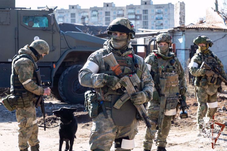 Росгвардейцы разминировали дорогу и ликвидировали схрон с боеприпасами в ДНР (ВИДЕО)