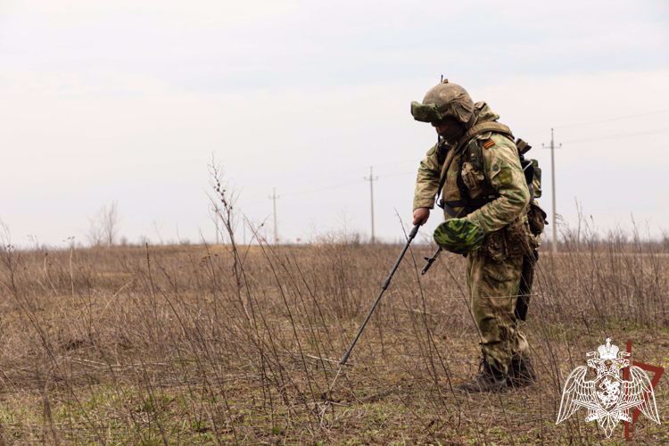 Росгвардейцы разминировали дорогу и ликвидировали схрон с боеприпасами в ДНР (ВИДЕО)