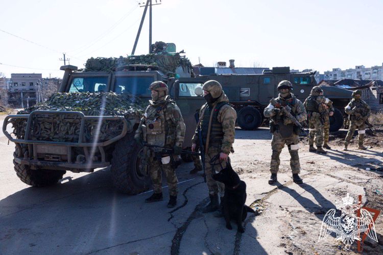Росгвардейцы разминировали дорогу и ликвидировали схрон с боеприпасами в ДНР (ВИДЕО)