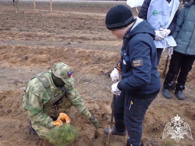 Росгвардейцы обеспечили безопасность проведения патриотической акции «Сад памяти» в ЛНР