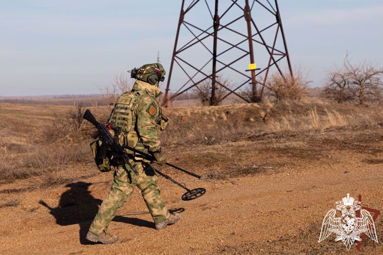 Росгвардейцы предотвратили взрыв на ЛЭП в Донецкой Народной Республике