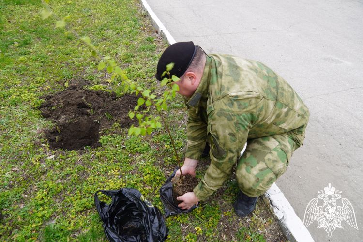 В Саратове сотрудники Росгвардии приняли участие в акции «Зеленая Россия»