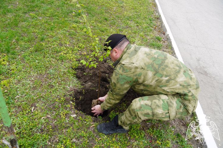 В Саратове сотрудники Росгвардии приняли участие в акции «Зеленая Россия»