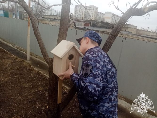 В Саратове сотрудники Росгвардии совместно с воспитанниками детских садов развесили кормушки для птиц