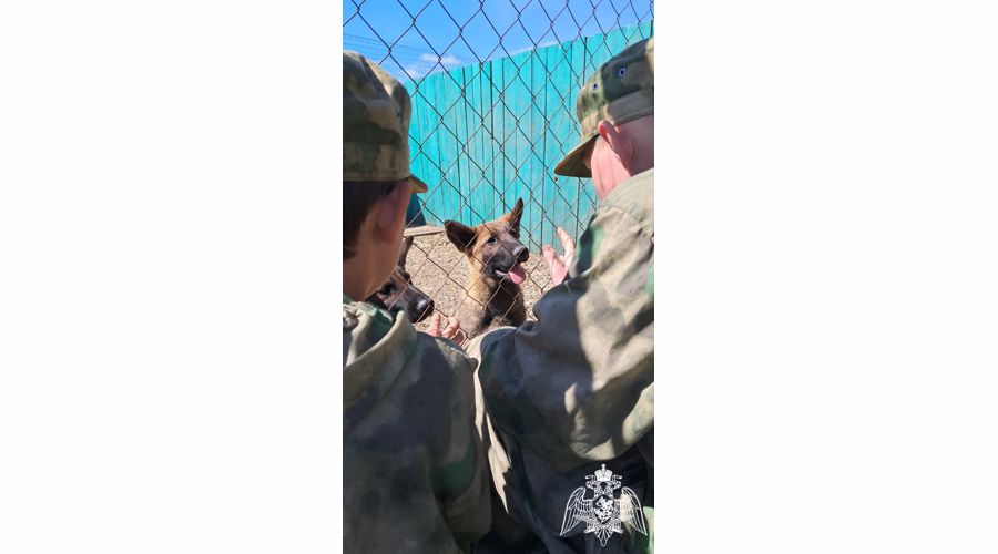 В Саратове участники «Гвардейской смены» побывали в гостях у кинологов Приволжского округа Росгвардии