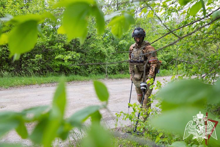 Росгвардия показала кадры служебно-боевой деятельности подразделений в ЛНР (видео)