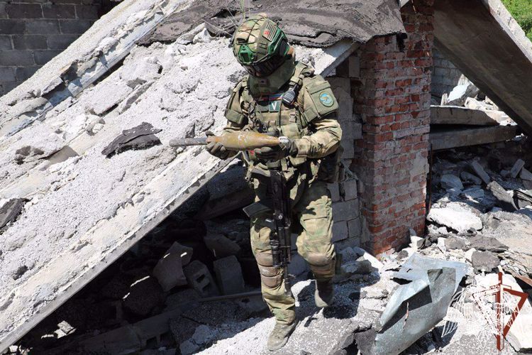 Артиллерийские боеприпасы иностранного производства обнаружили росгвардейцы в ДНР