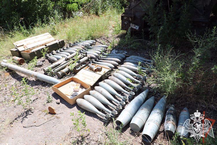 Артиллерийские боеприпасы иностранного производства обнаружили росгвардейцы в ДНР