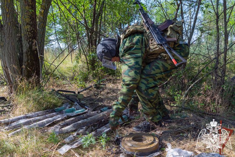 Росгвардейцы обнаружили тайник с боеприпасами в лесном массиве в ЛНР