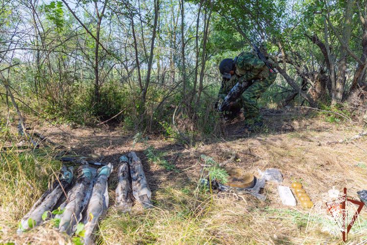 Росгвардейцы обнаружили тайник с боеприпасами в лесном массиве в ЛНР