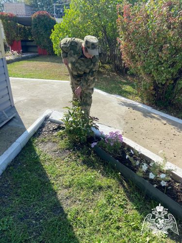 В Саратовской области военнослужащие Росгвардии приняли участие во Всероссийской экологической акции «Зеленая Россия»