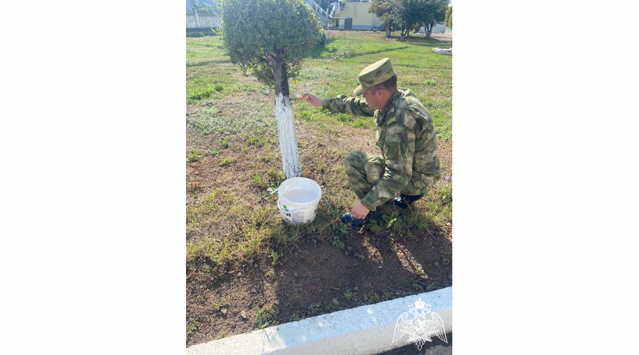 В Саратовской области военнослужащие Росгвардии приняли участие во Всероссийской экологической акции «Зеленая Россия»