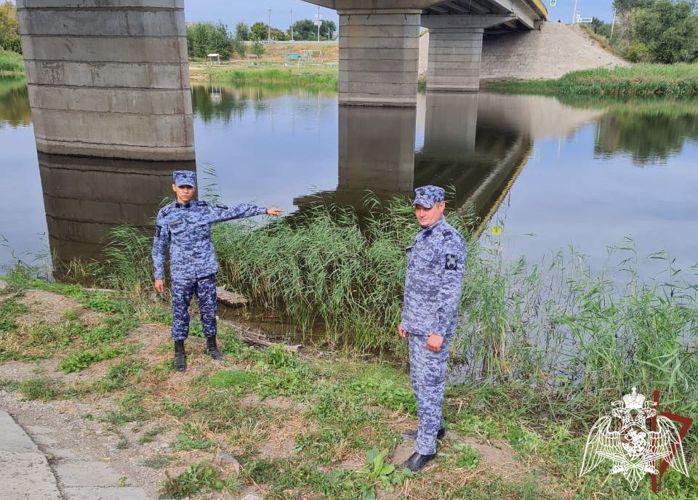 Сотрудники Росгвардии в Саратовской области спасли утопающего