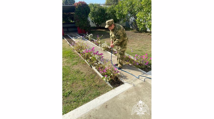 В Саратовской области военнослужащие Росгвардии приняли участие во Всероссийской экологической акции «Зеленая Россия»