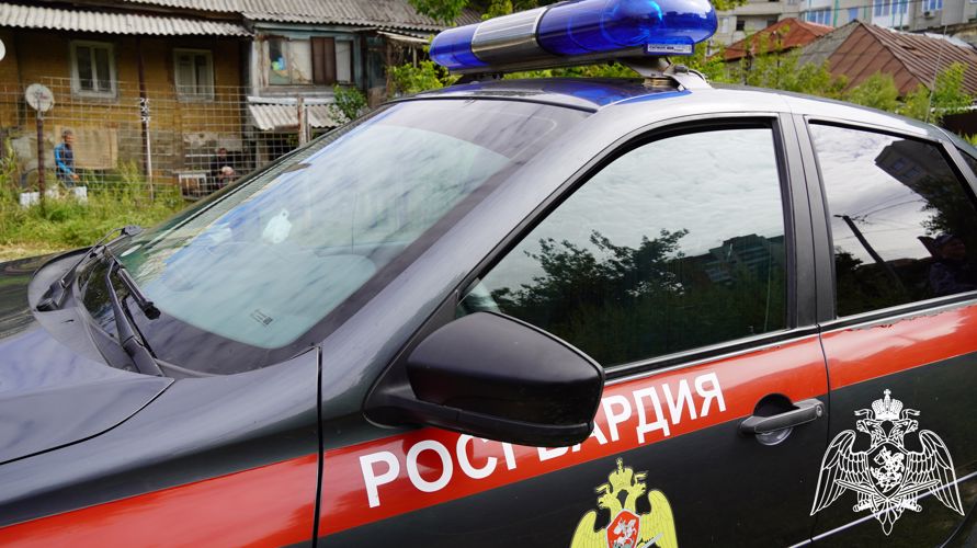 В Саратове сотрудники Росгвардии задержали гражданина, находившегося в федеральном розыске