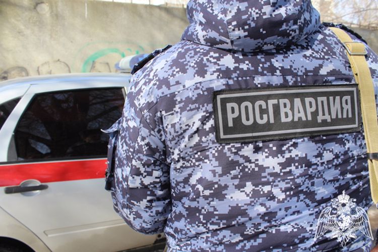 В Саратовской области сотрудники Росгвардии задержали нетрезвого автоугонщика