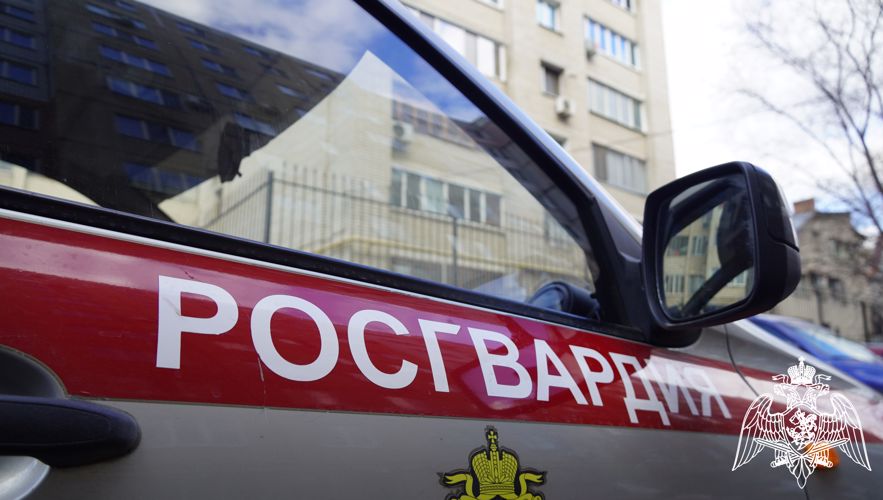 В Саратовской области сотрудники Росгвардии задержали гражданина, находившегося в федеральном розыске