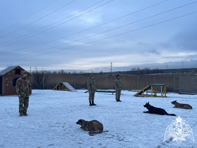 Саратовские росгвардейцы продолжают принимать участие в ведомственной новогодней акции «Дед мороз специального назначения»