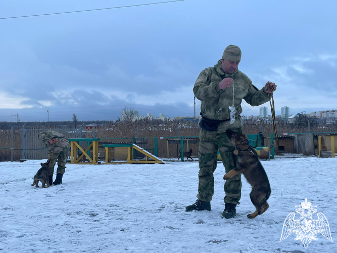 Саратовские росгвардейцы продолжают принимать участие в ведомственной новогодней акции «Дед мороз специального назначения»