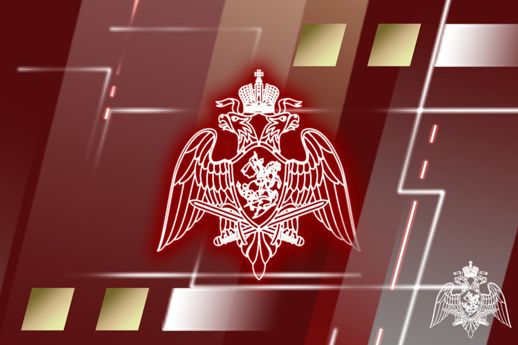 Росгвардейцы приняли участие в обеспечении правопорядка и безопасности в новогоднюю ночь