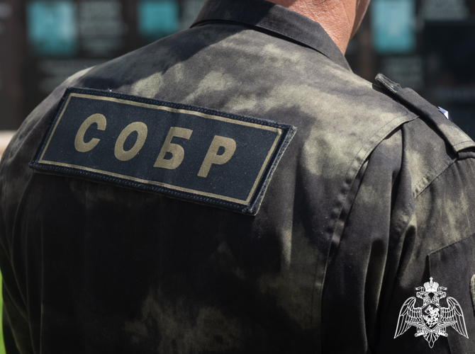 В Саратове при силовой поддержке Росгвардии пресечена деятельность участников организованной группы, которые подозреваются в мошенничестве в сфере автострахования