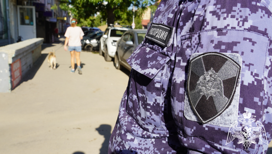 В Саратовской области сотрудники Росгвардии пресекли мелкое хищение с охраняемого объекта