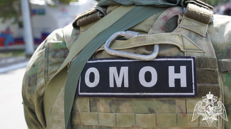 В Саратовской области сотрудники Росгвардии обеспечили охрану общественного порядка во время празднования Дня Победы 