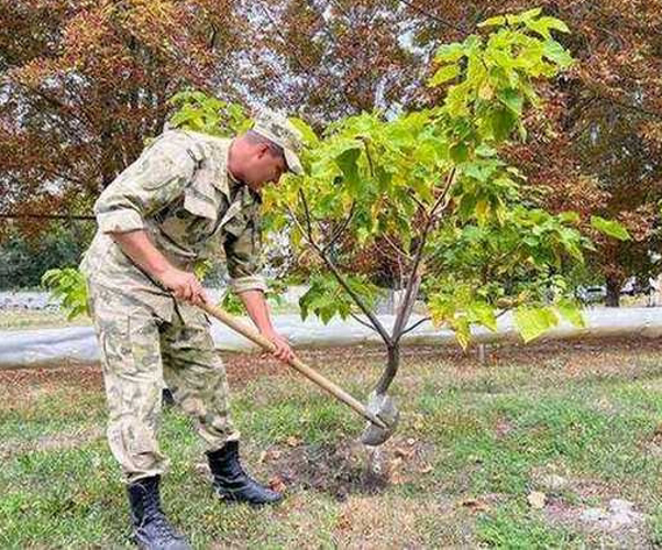 В Саратове сотрудники и военнослужащие Росгвардии приняли участие в акции «Зеленая Россия»