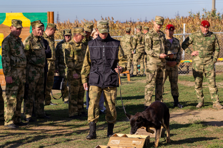 В Саратове состоялся учебно-методический сбор кинологических подразделений Росгвардии 
