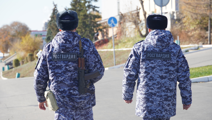 В Саратовской области сотрудники Росгвардии задержали зачинщика бытового конфликта
