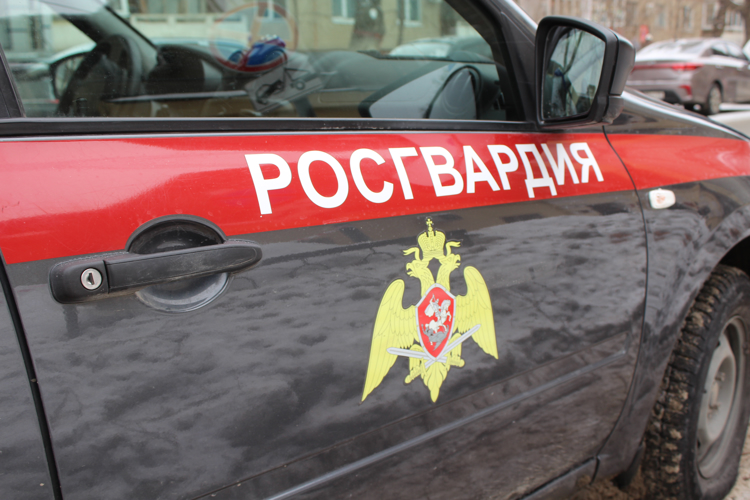 В Саратовской области сотрудники Росгвардии пресекли хищение с охраняемого объекта