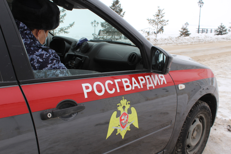 В Саратовкой области сотрудники Росгвардии пресекли попытку хищения с охраняемого объекта