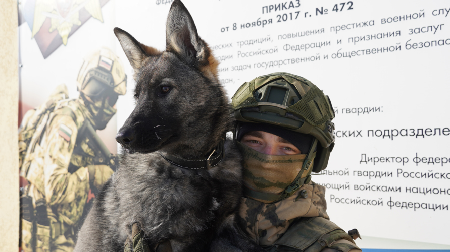 В специальное подразделение Управления Росгвардии по Саратовской области переходит служить щенок титулованных чемпионов