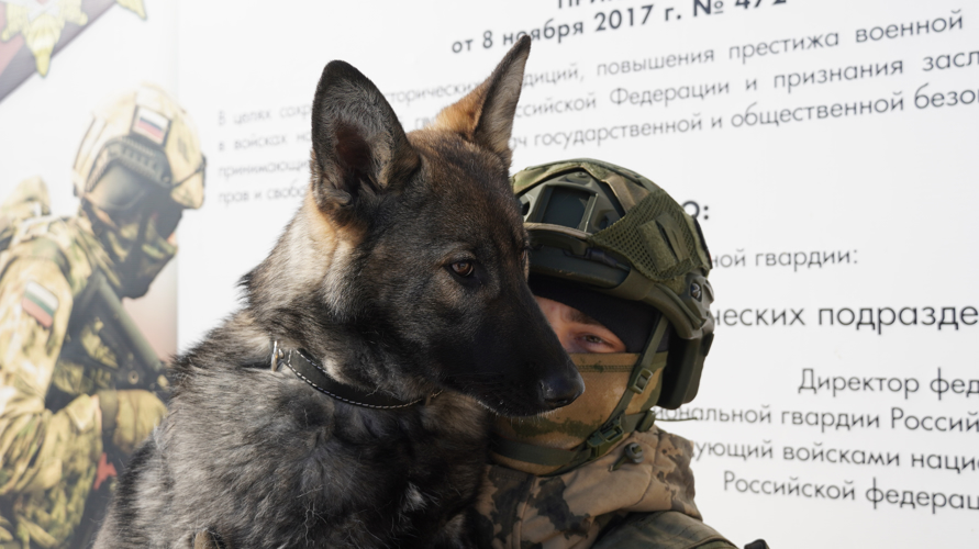 В специальное подразделение Управления Росгвардии по Саратовской области переходит служить щенок титулованных чемпионов