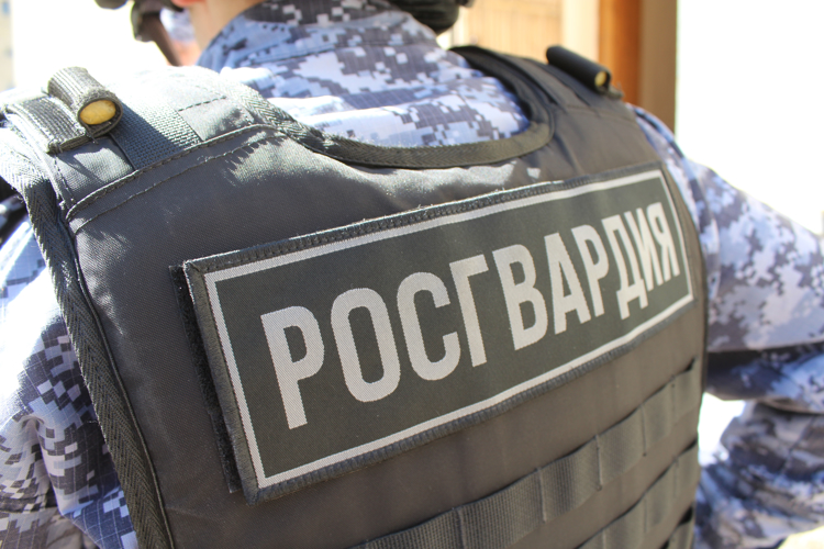 В Саратовской области сотрудники Росгвардии задержали гражданина, подозреваемого в краже