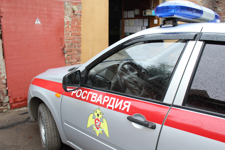В Саратовской области сотрудники Росгвардии задержали участника дорожной аварии, севшего за руль транспортного средства в состоянии алкогольного опьянения