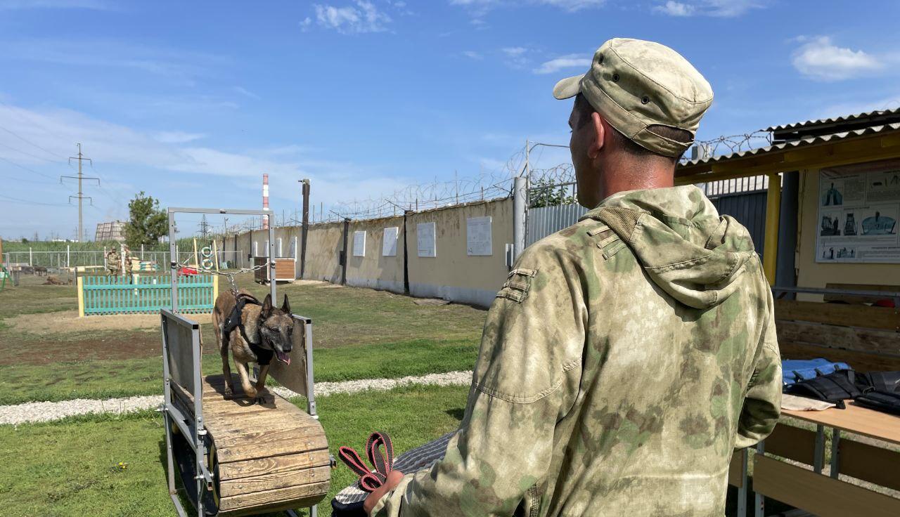 НАЧАЛЬНИК УПРАВЛЕНИЯ РОСГВАРДИИ ПО САРАТОВСКОЙ ОБЛАСТИ ПОЗДРАВИЛ СПЕЦИАЛИСТОВ - КИНОЛОГОВ С ПРОФЕССИОНАЛЬНЫМ ПРАЗДНИКОМ