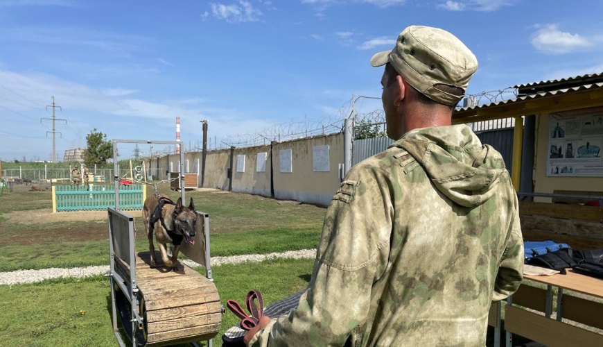 Начальник Управления Росгвардии по Саратовской области поздравил специалистов - кинологов с профессиональным праздником