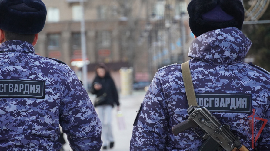 В Саратове сотрудники Росгвардии задержали гражданина, подозреваемого в серии краж (видео)